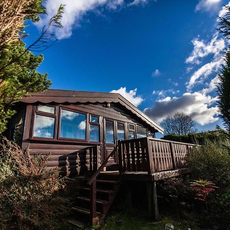 Log Cabin Nr Coed Y Brenin By Seren Short Stays Trawsfynydd Экстерьер фото